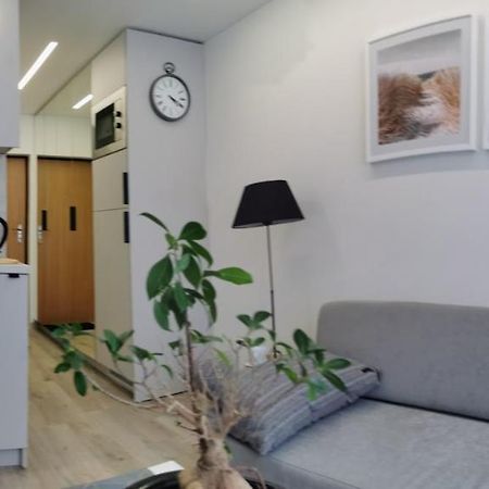 Salia Centro Apartment VNO Exterior photo